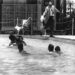 Picture Of Motel Manager Pouring Acid On Black Swimmers Explains The Major Flaw Of The Civil Rights Movement