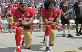 Bengals Give Free Agent Reid The 'Kaepernick' Treatment