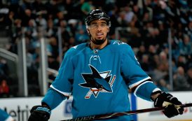 KANE is More Than ABLE to Assist His Sharks in Swimming to a Title